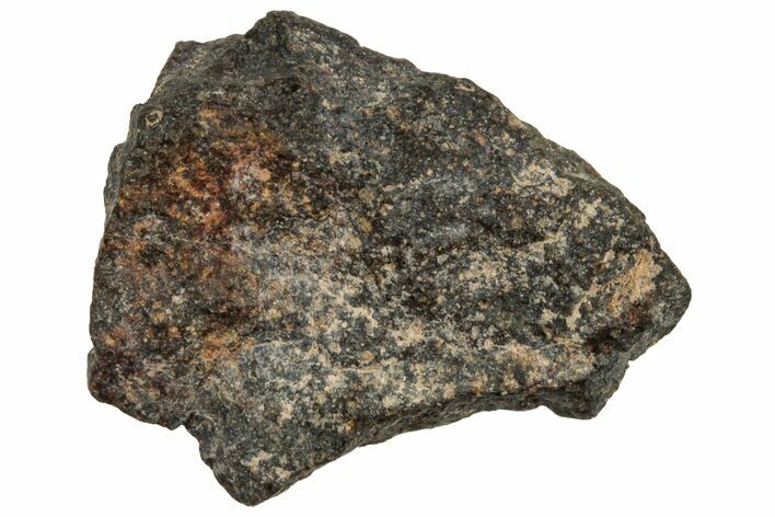Carbonaceous Chondrite Meteorite ( g) - NWA #313784